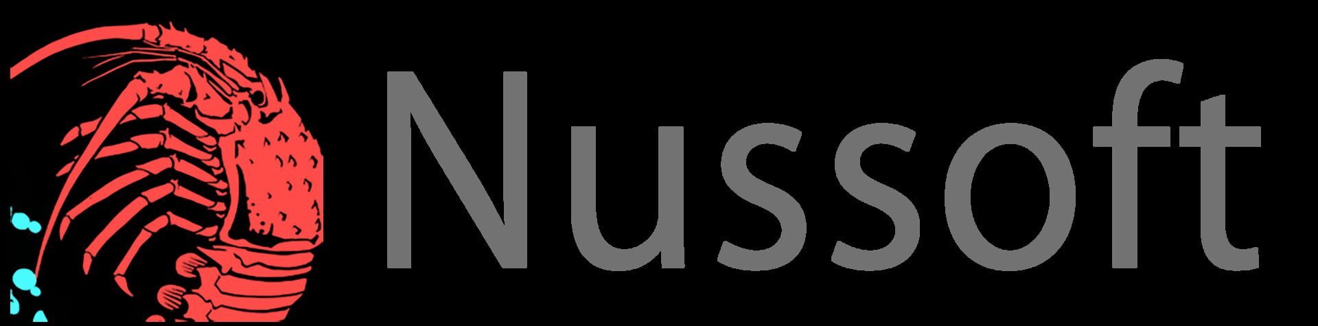 Nussoft logo