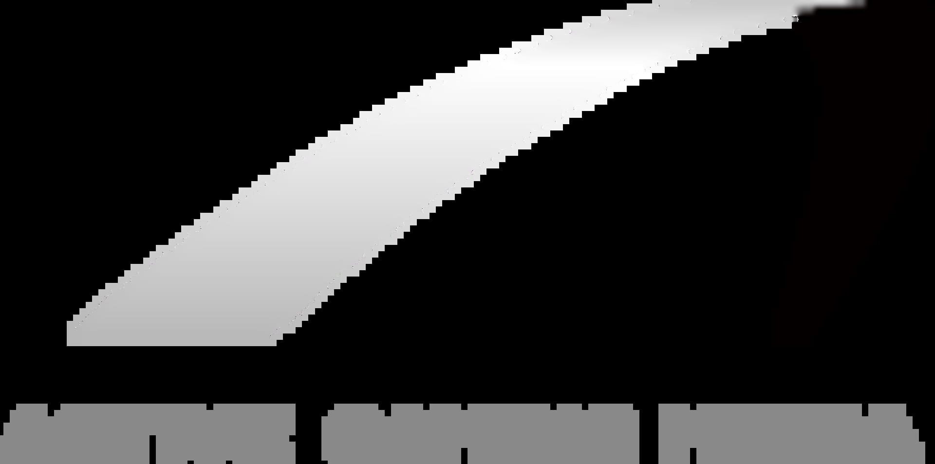 Active Gaming Media logo