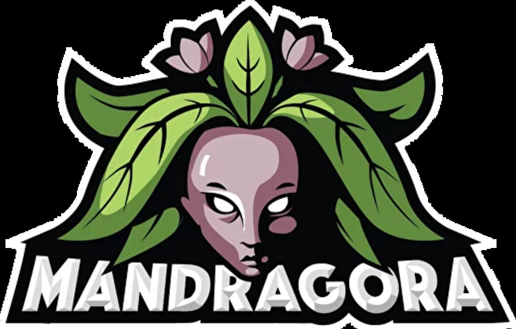 Mandragora logo