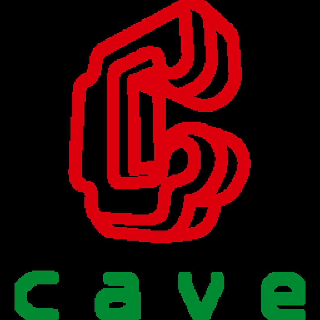 CAVE Interactive logo