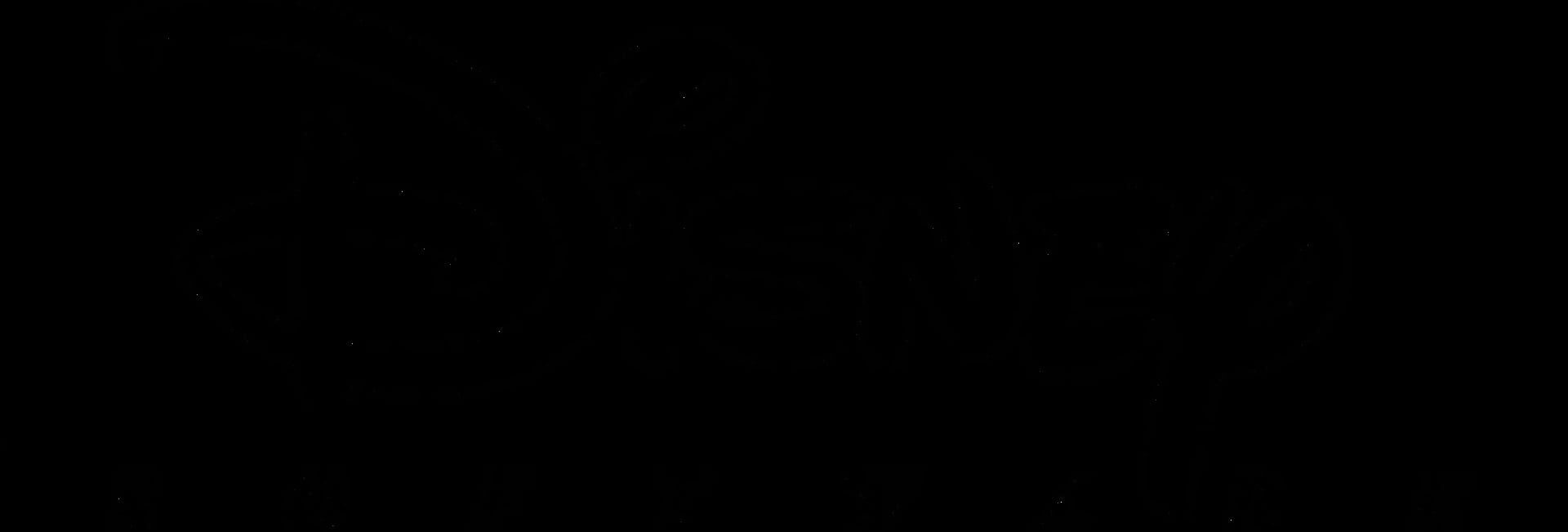 Walt Disney Computer Software logo