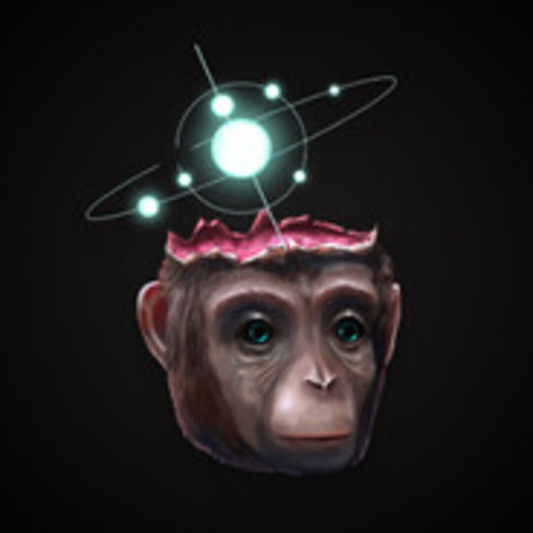 Quantic Monkey Studio
