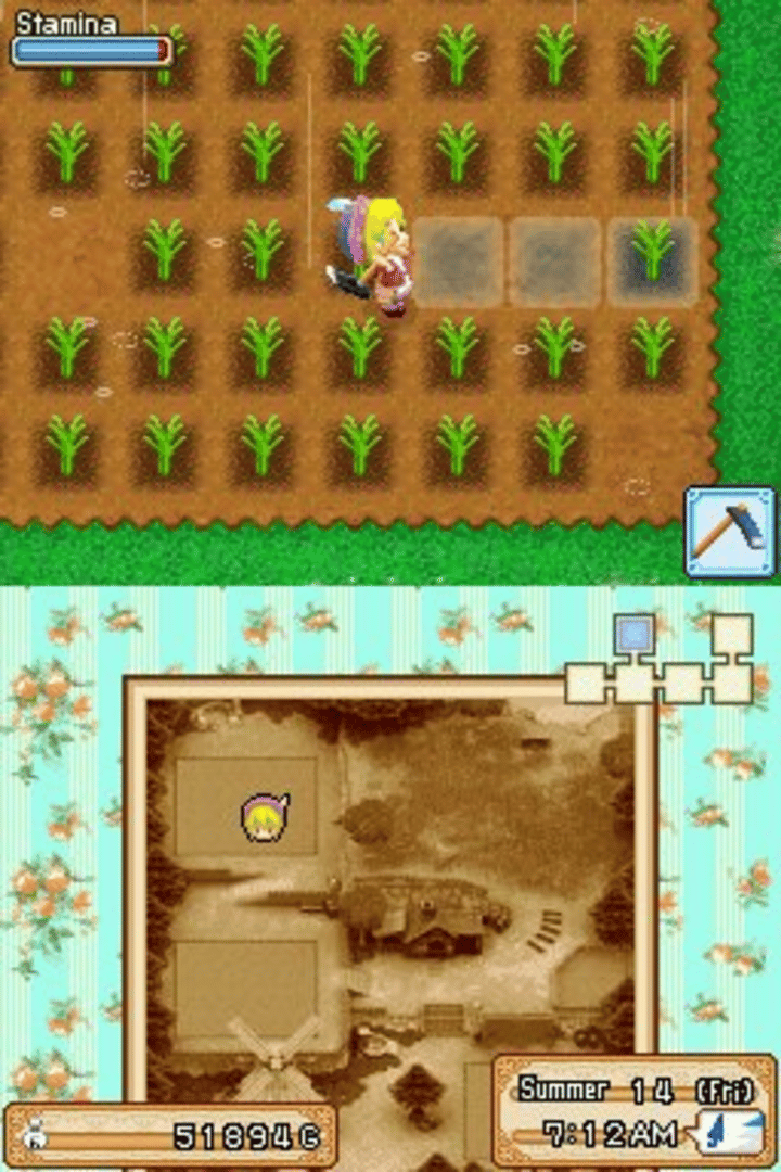 Harvest Moon DS: Grand Bazaar screenshot