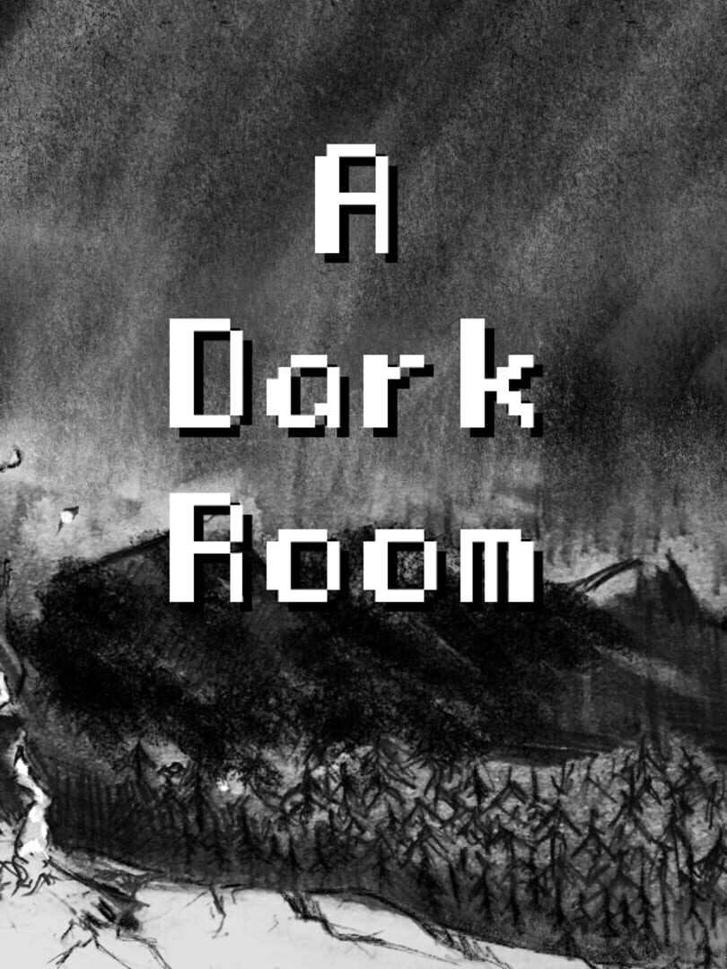 A Dark Room (2013)