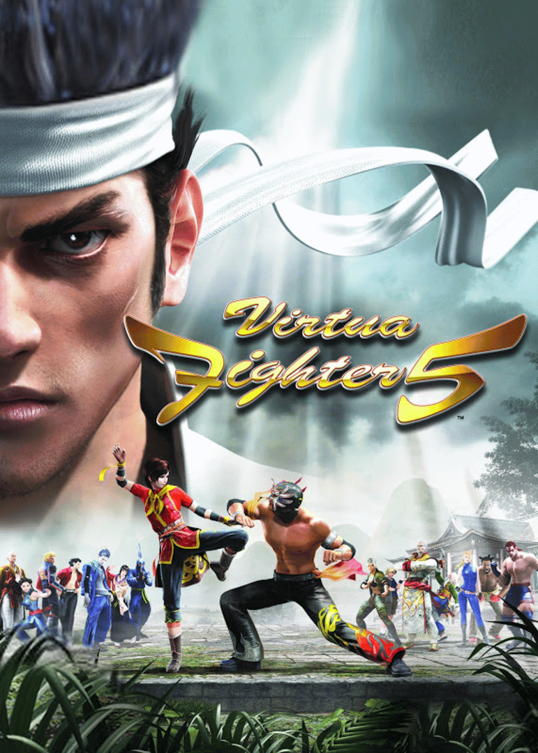 Virtua Fighter 5 Cover