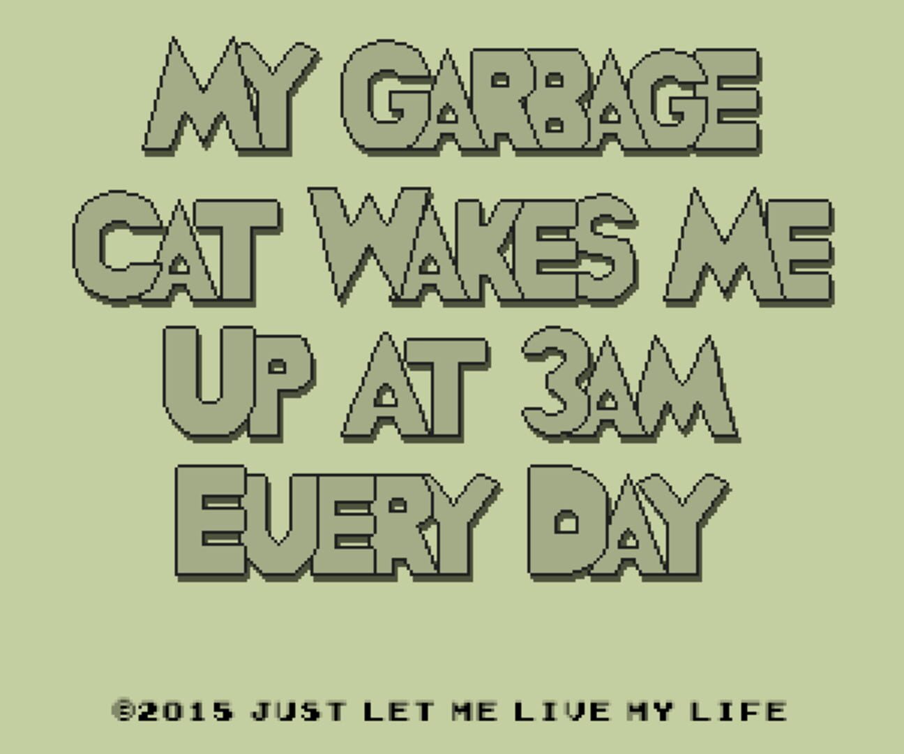 My Garbage Cat Wakes Me Up At 3AM Every Day (2015)