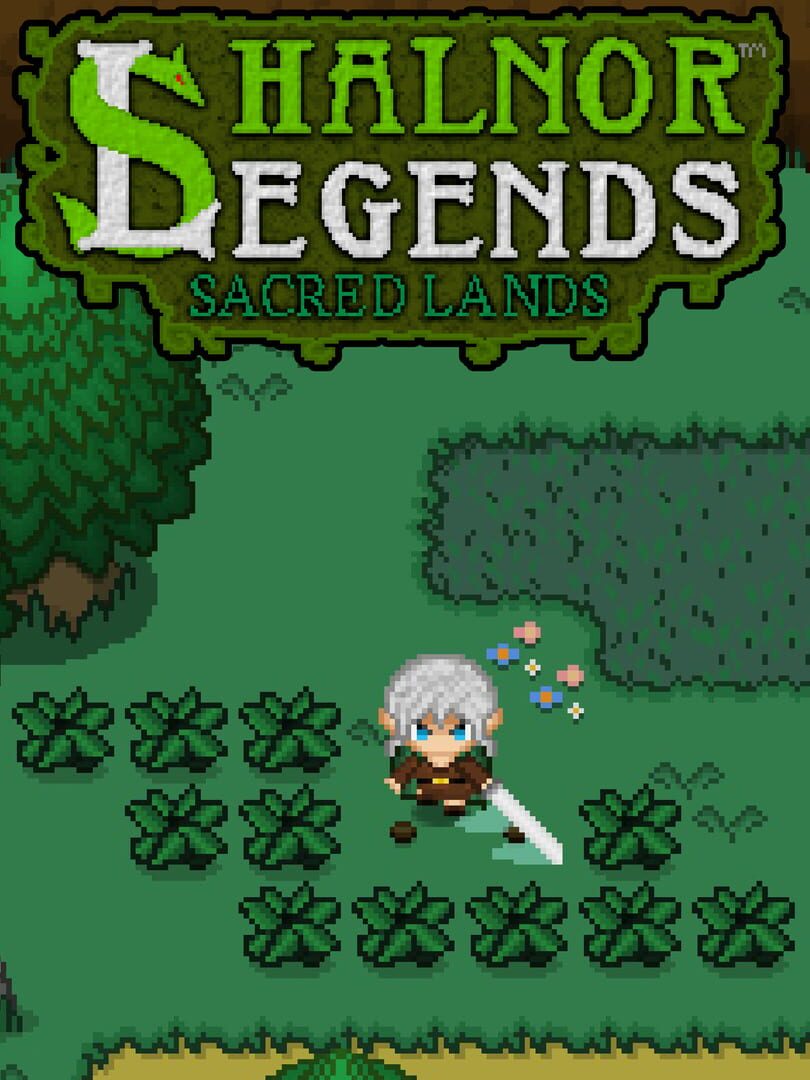 Shalnor Legends: Sacred Lands (2018)