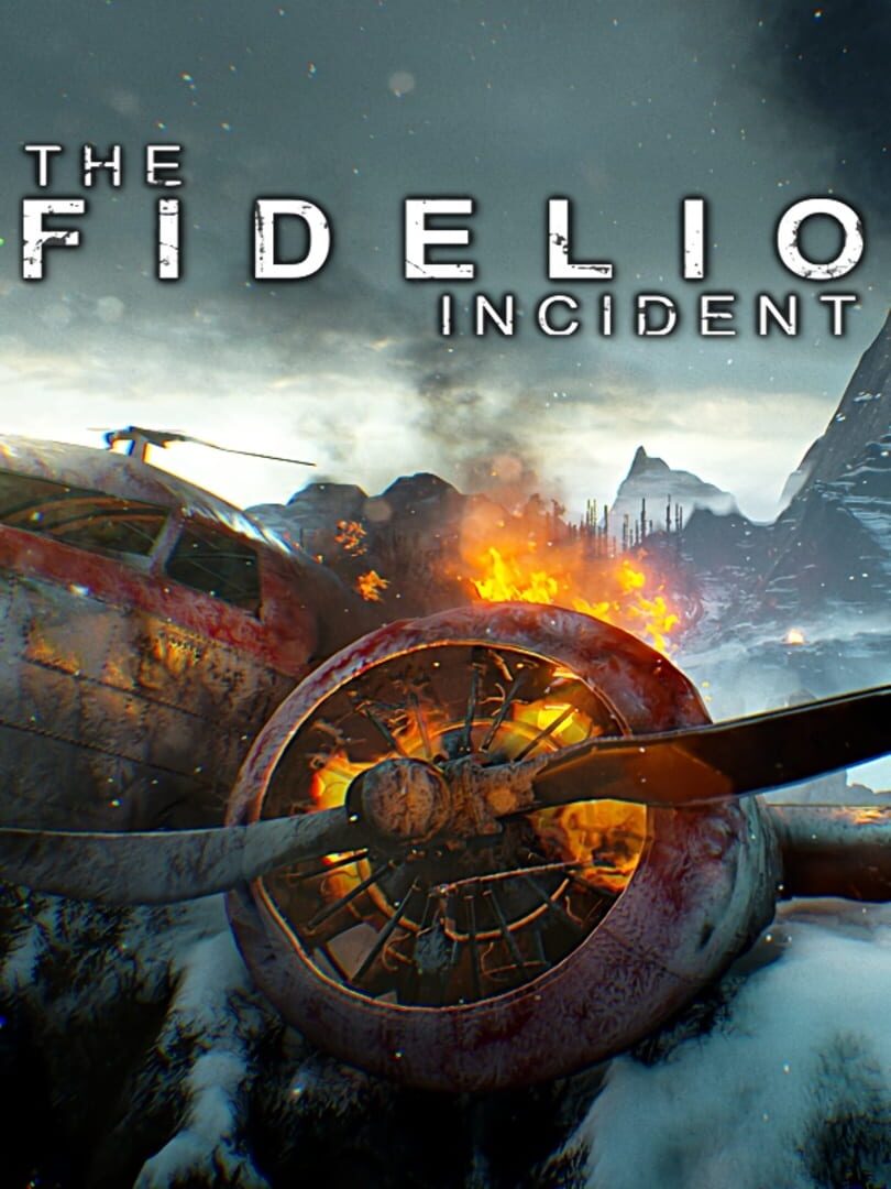 The Fidelio Incident (2017)