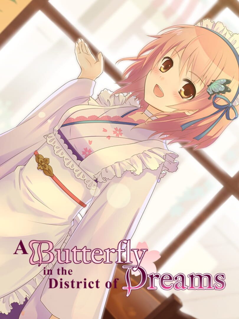 A Butterfly in the District of Dreams