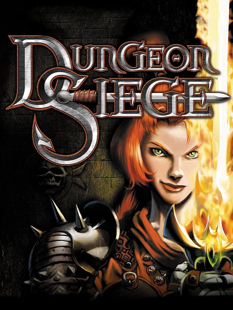 Dungeon Siege (2002)