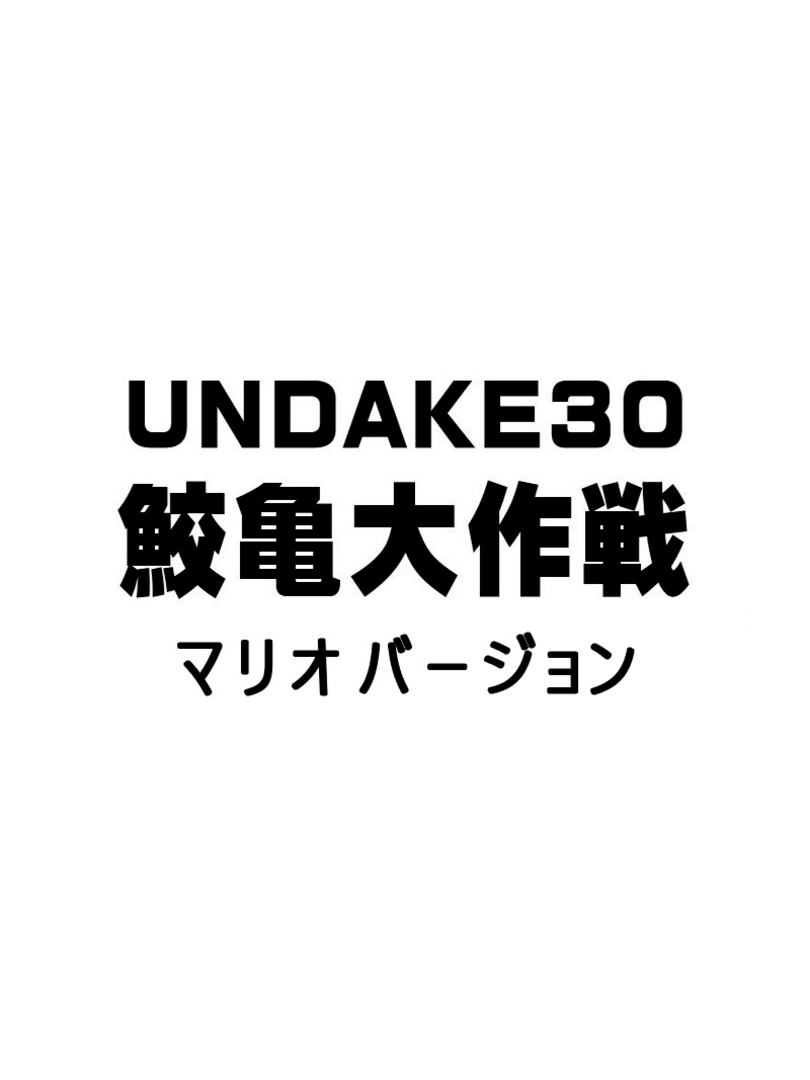 Undake30 SameGame Daisakusen Mario Version Cover