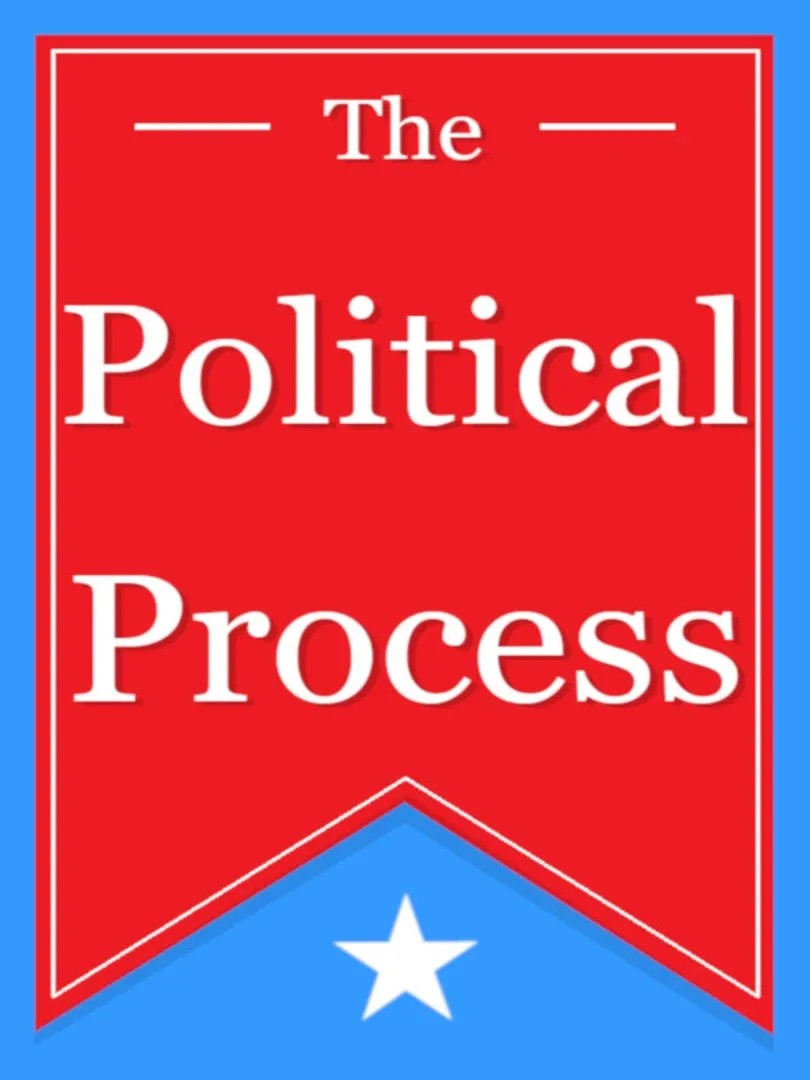 The Political Process