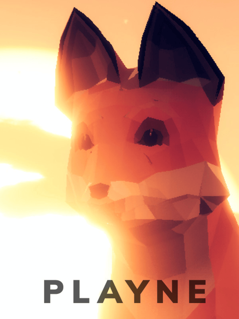 Playne Cover