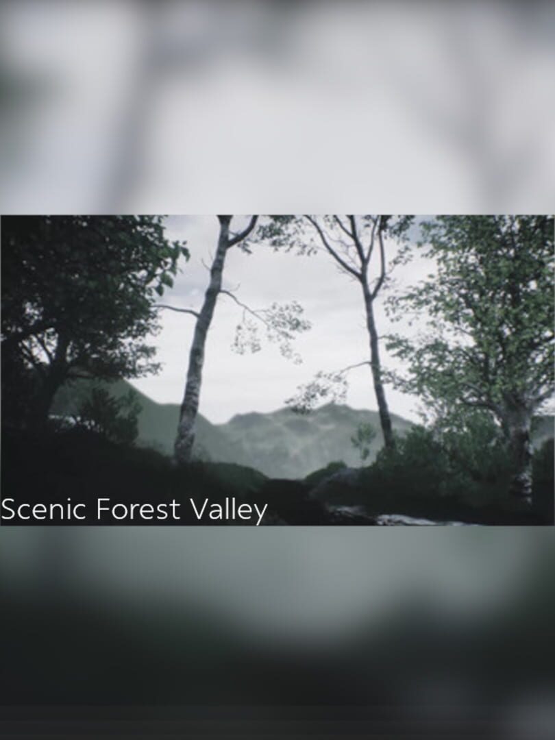 Scenic Forest Valley (2018)