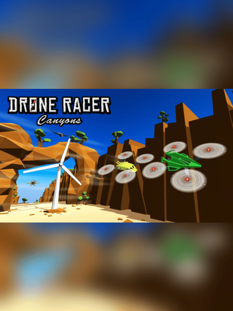 Drone Racer: Canyons Cover