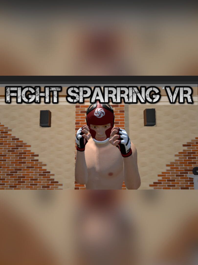 Fight Sparring VR (2017)