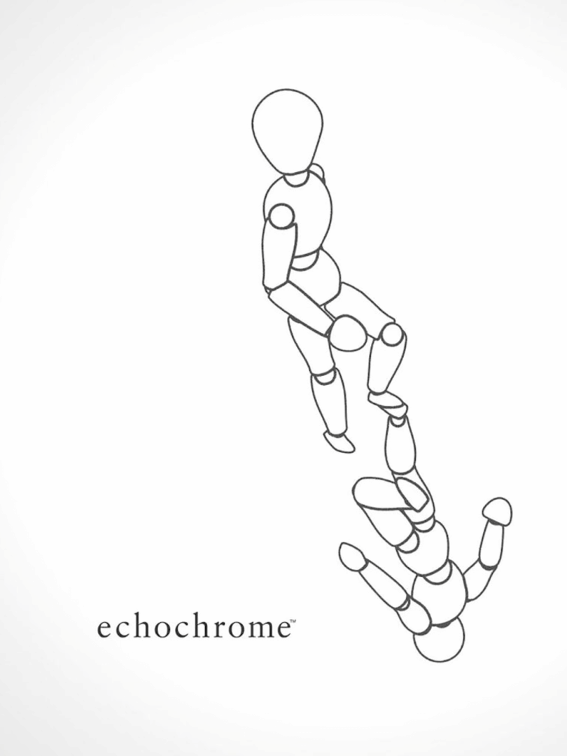 Echochrome Cover