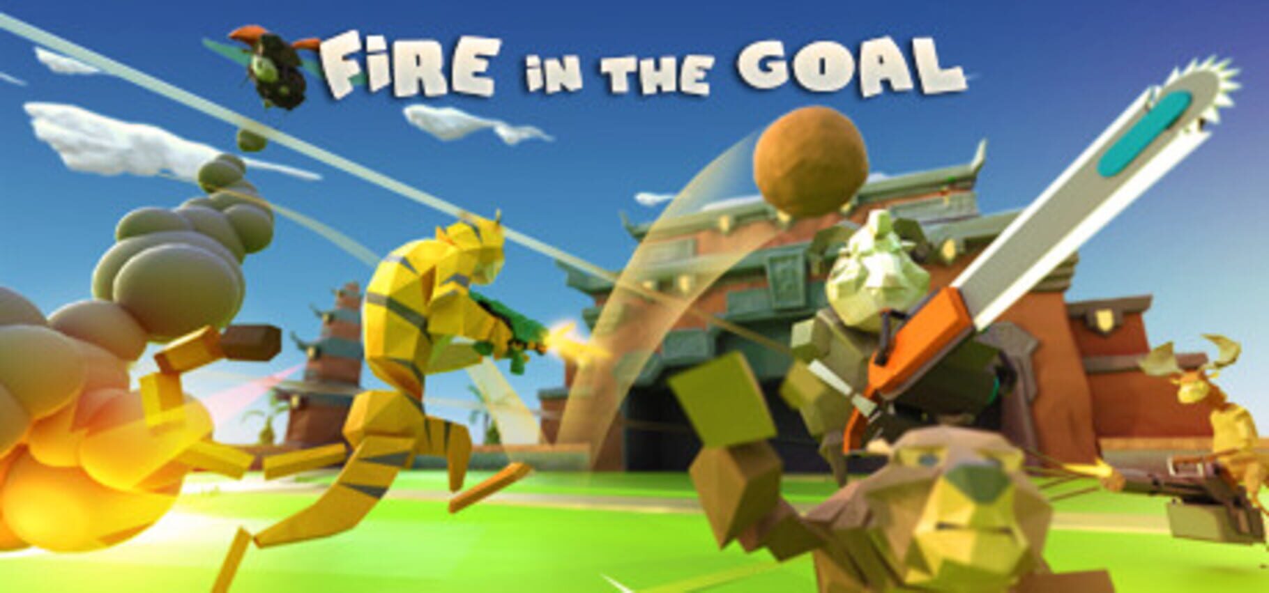 Fire in the Goal (2016)