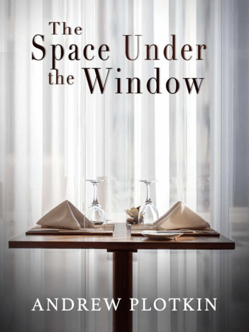 The Space Under the Window Cover