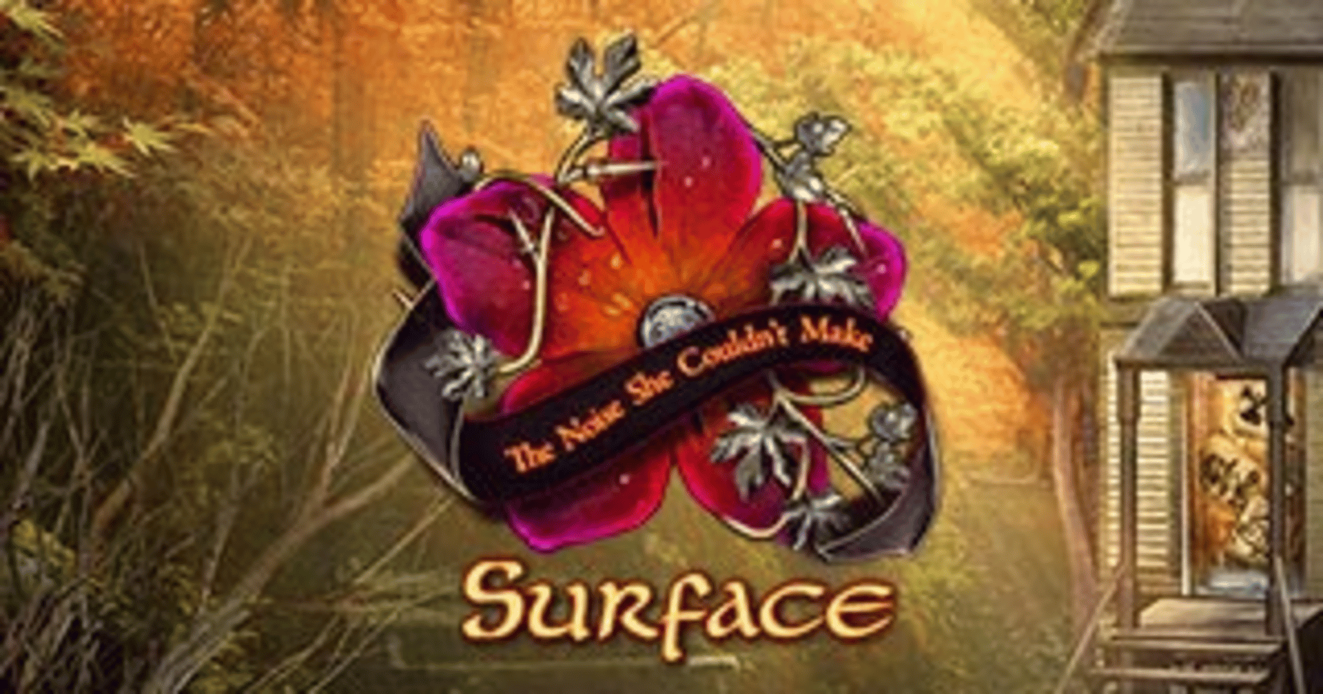 Surface: The Noise She Couldn't Make Cover