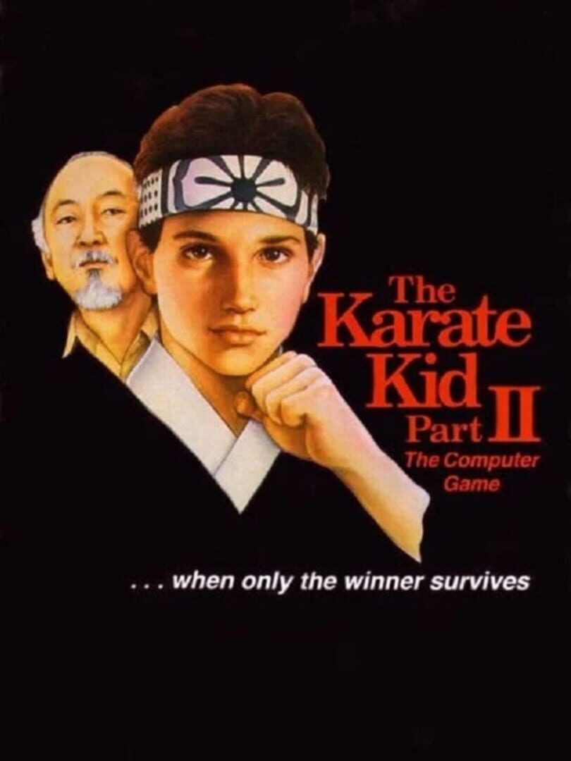 Cover image of The Karate Kid Part II