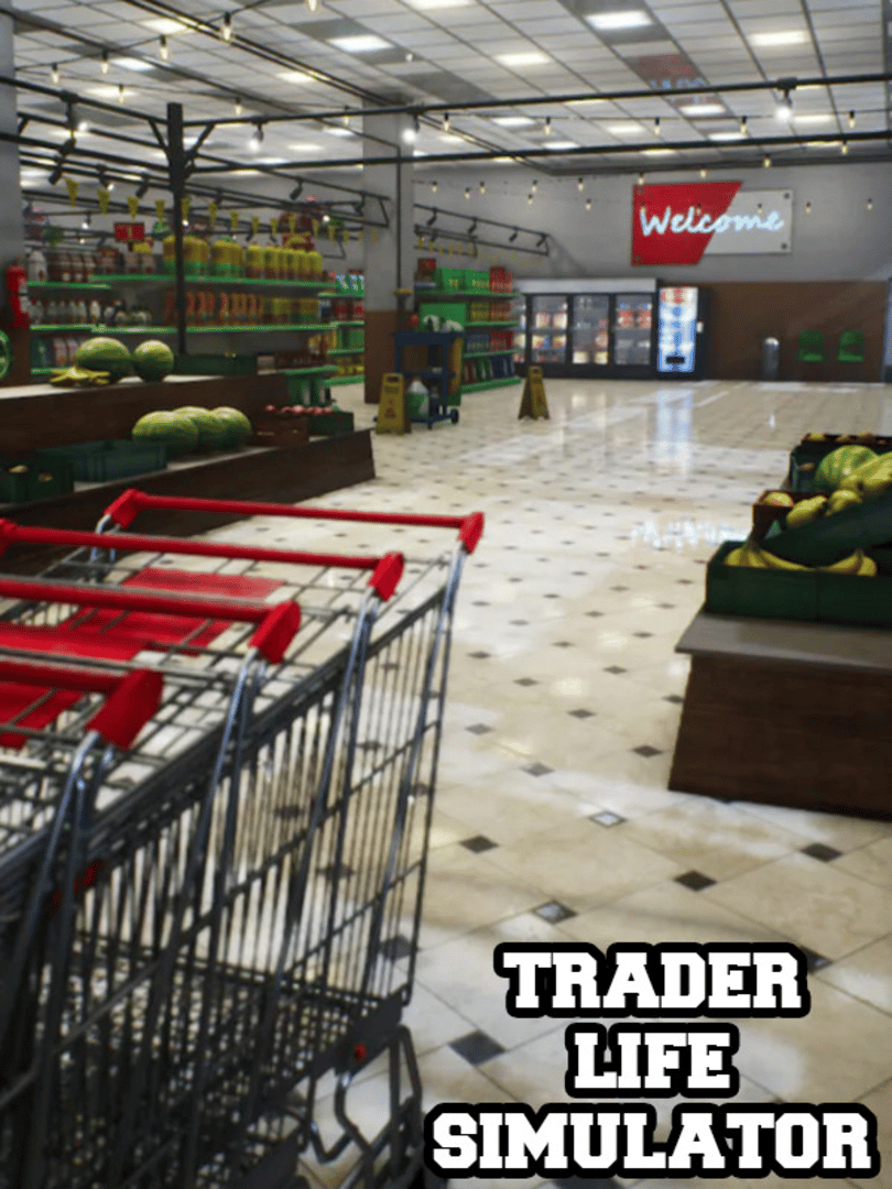 Trader Life Simulator Cover