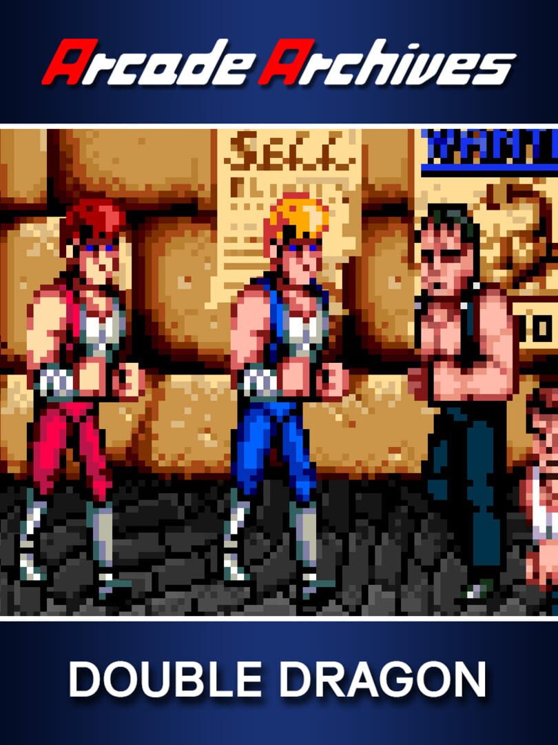 Arcade Archives: Double Dragon (2014)