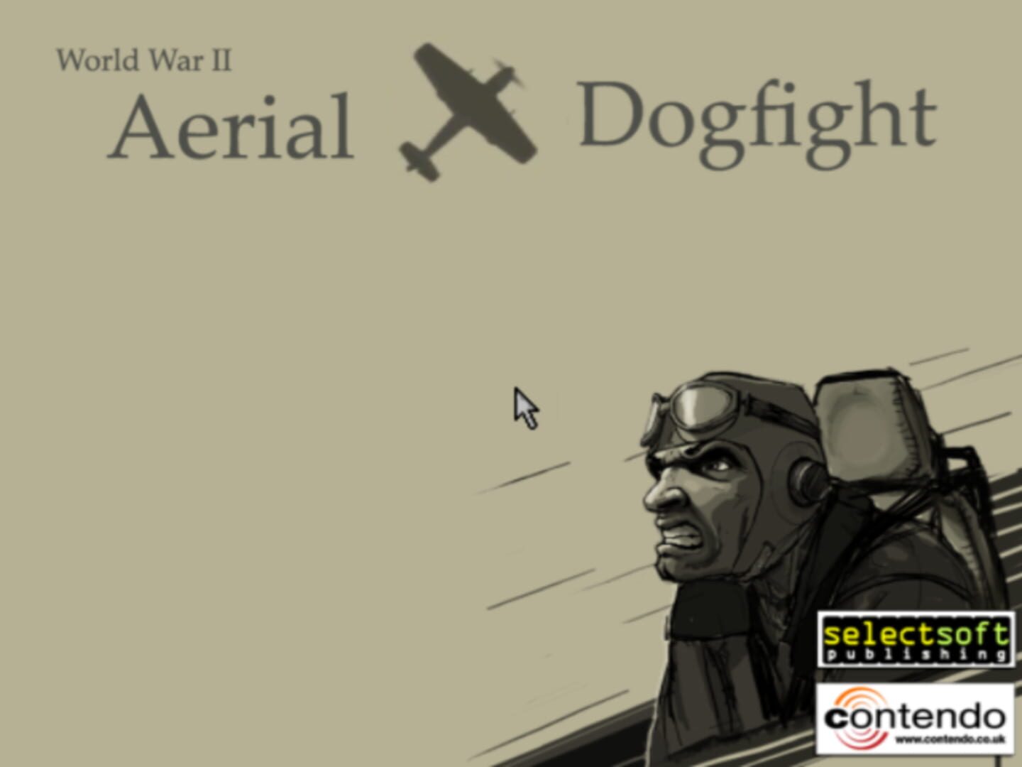 WWII Aerial Dogfight (2006)