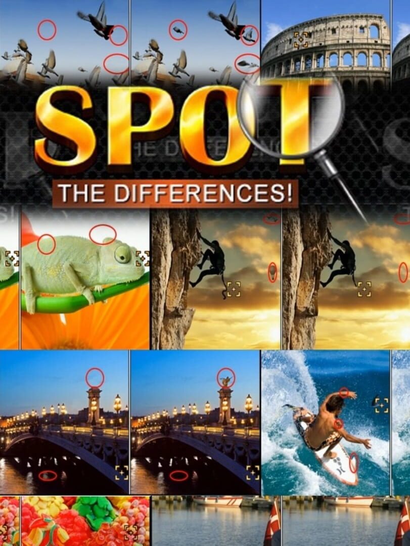 Spot the Differences (2010)