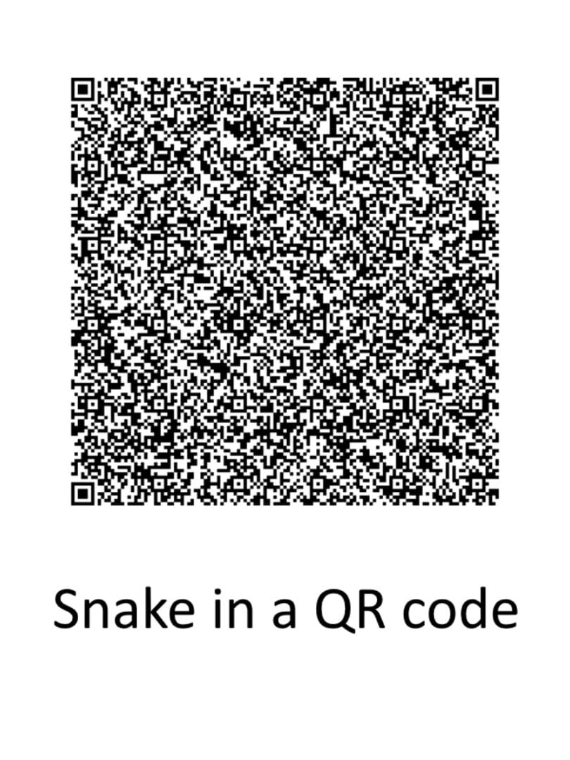 SnakeQR