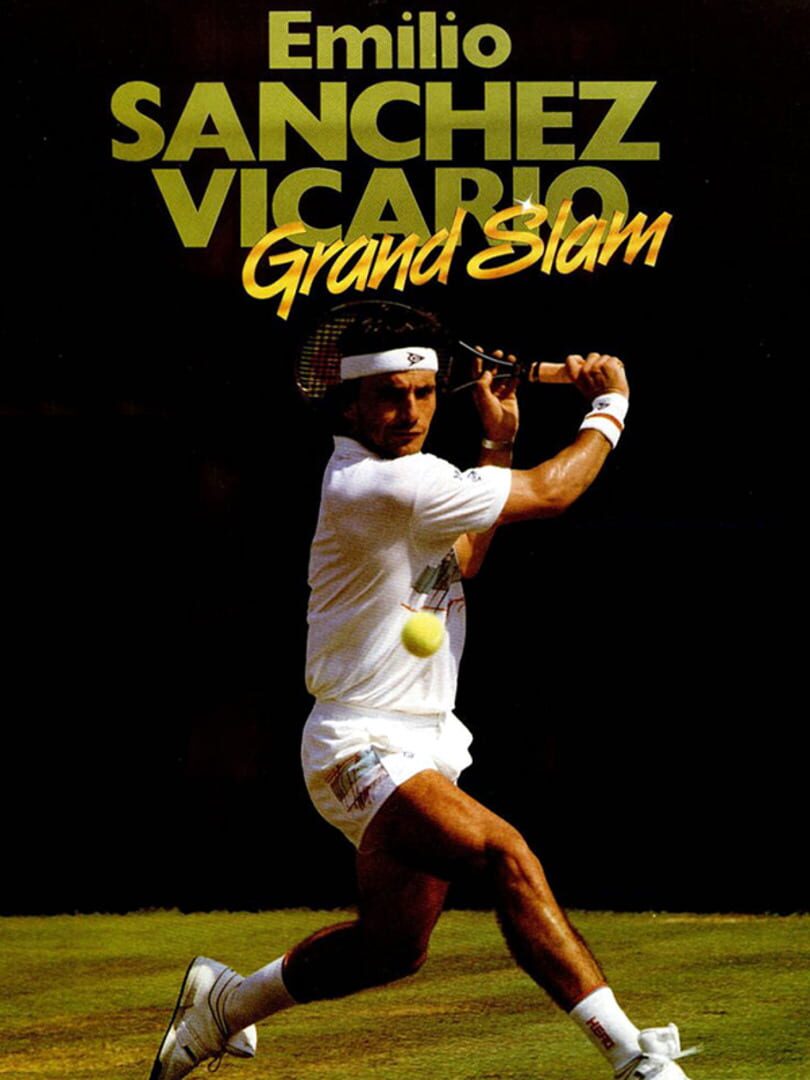 Emilio Sanchez Vicario Grand Slam (1989)