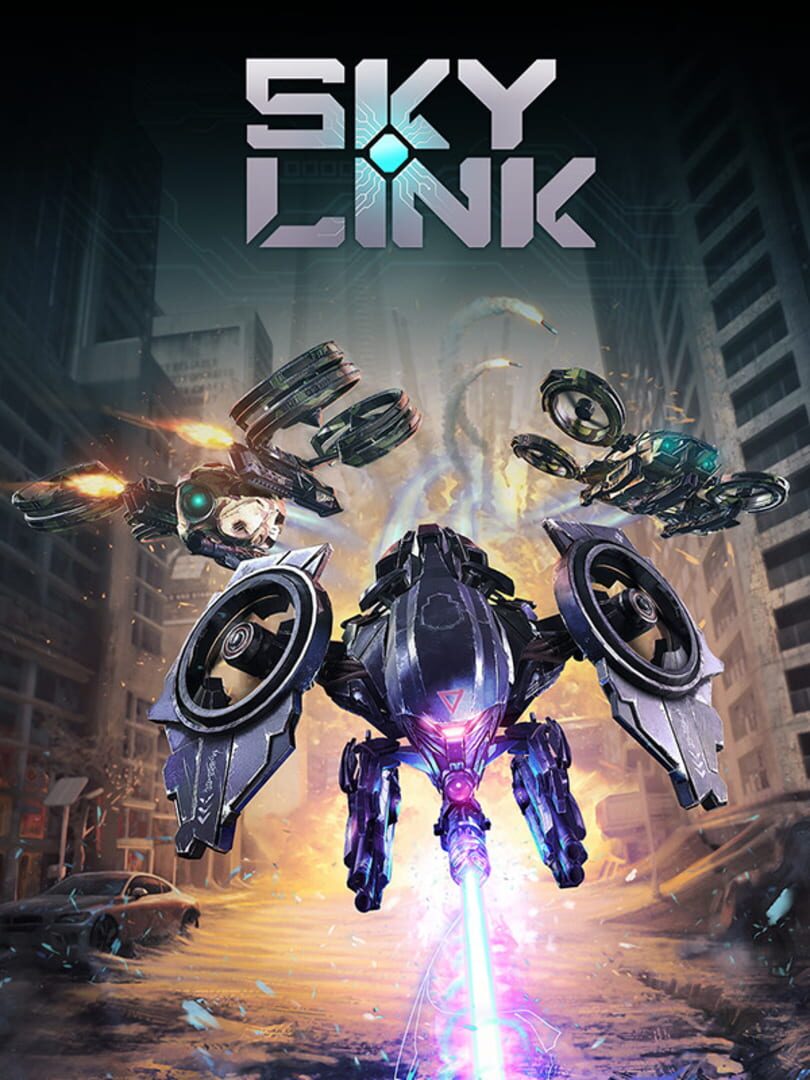 Sky Link (2019)