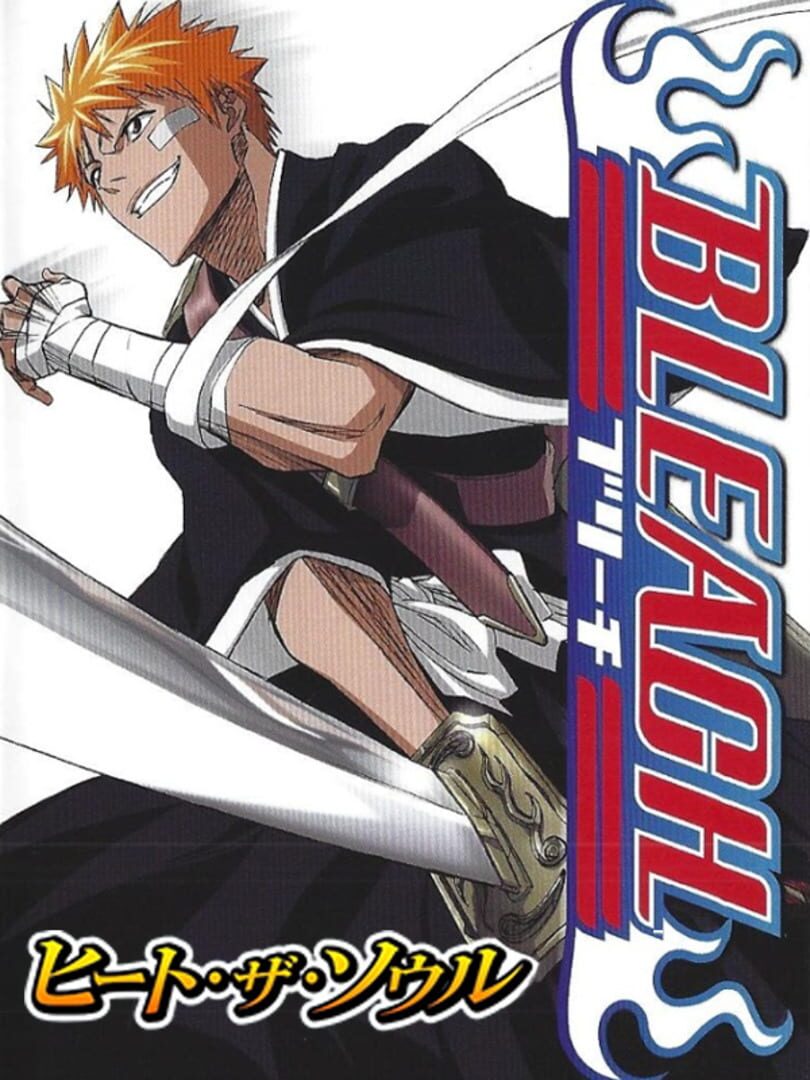 Bleach: Heat the Soul