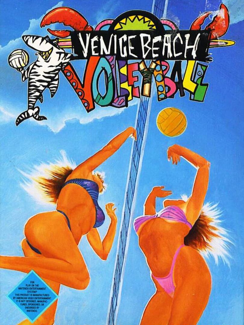 Venice Beach Volleyball (1991)