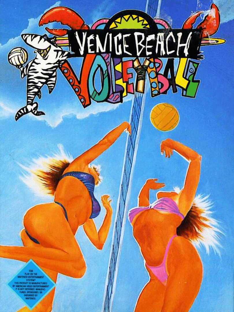 Venice Beach Volleyball Cover