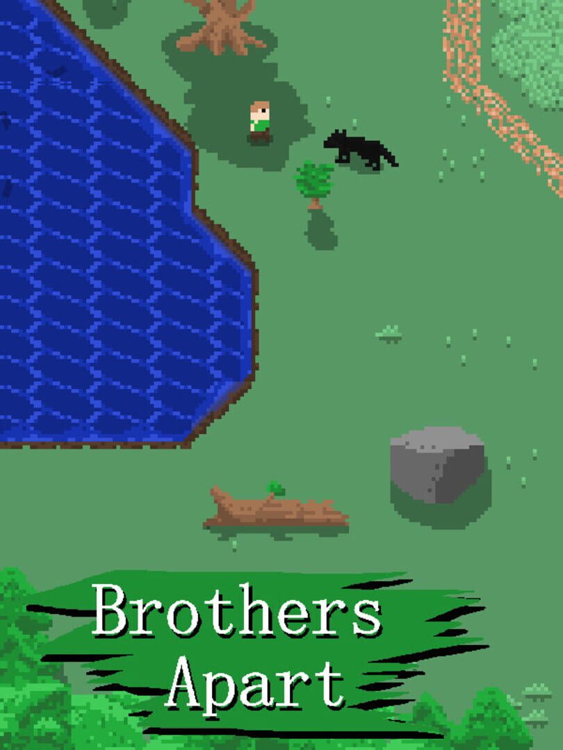 Cover image of Brothers Apart