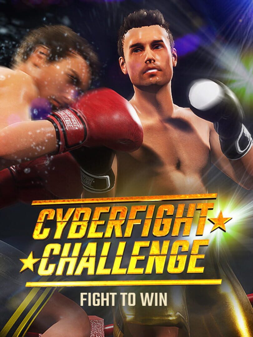Cyber Fight Challenge
