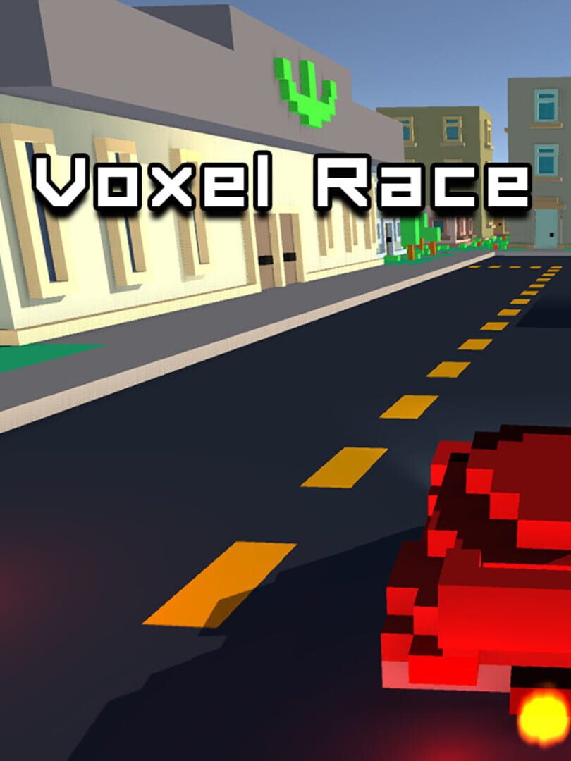 Voxel Race (2018)