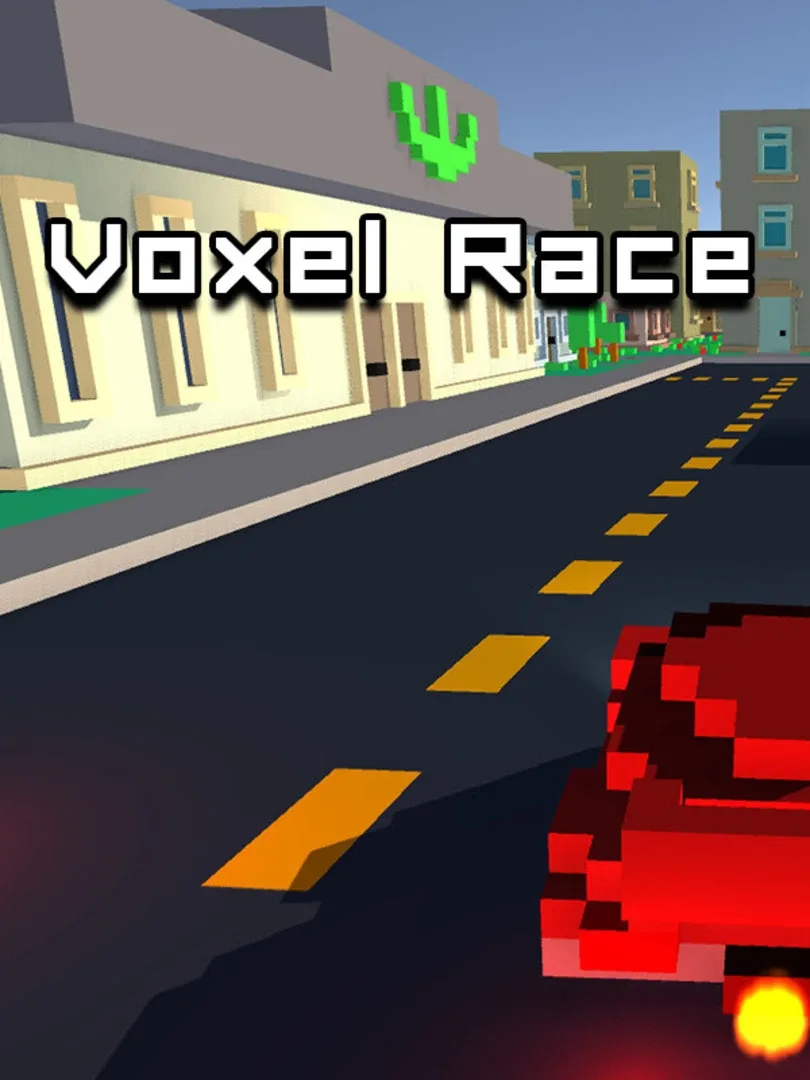 Voxel Race