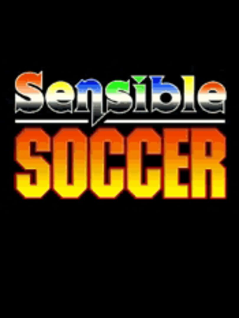 Sensible Soccer (2005)