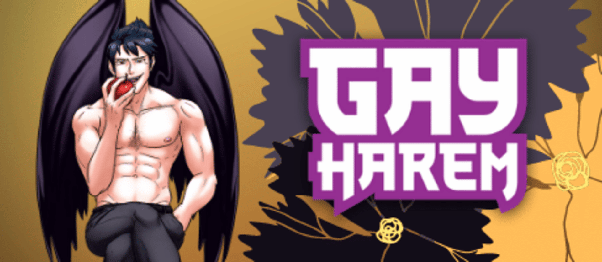 Gay Harem Cover