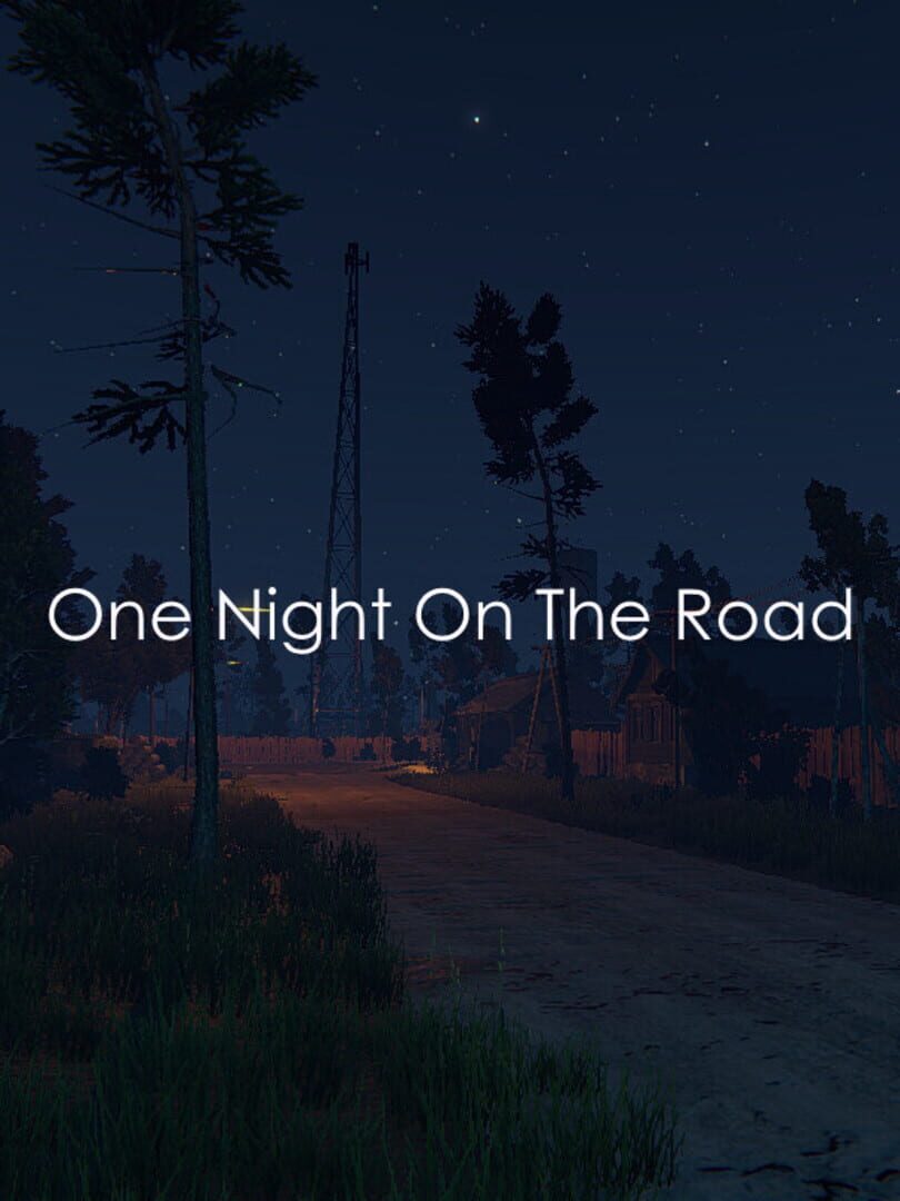 One Night on the Road