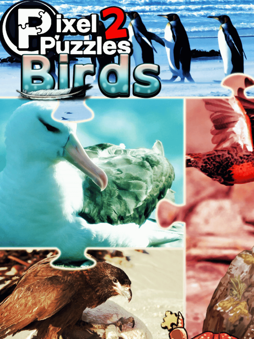 Pixel Puzzles 2: Birds Cover