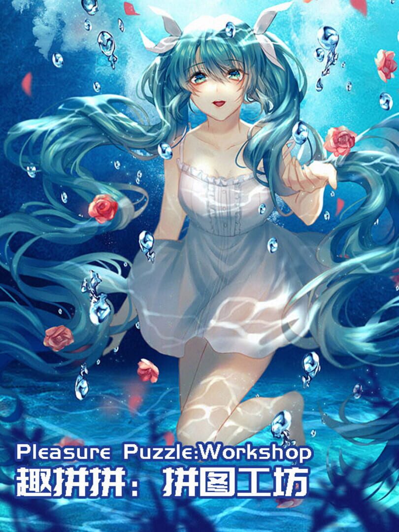 Pleasure Puzzle:Workshop