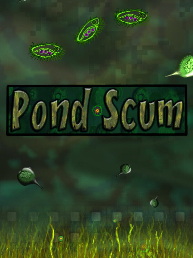 Pond Scum