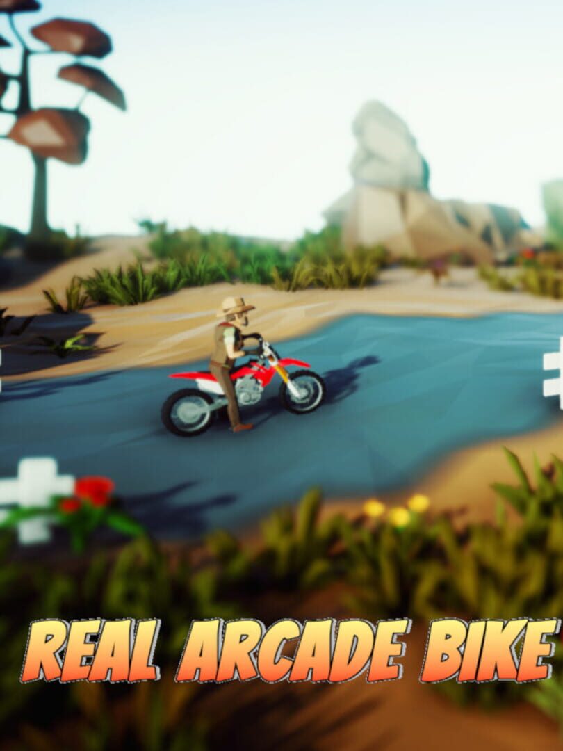 Real Arcade Bike