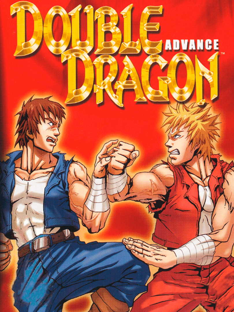 Double Dragon Advance Cover