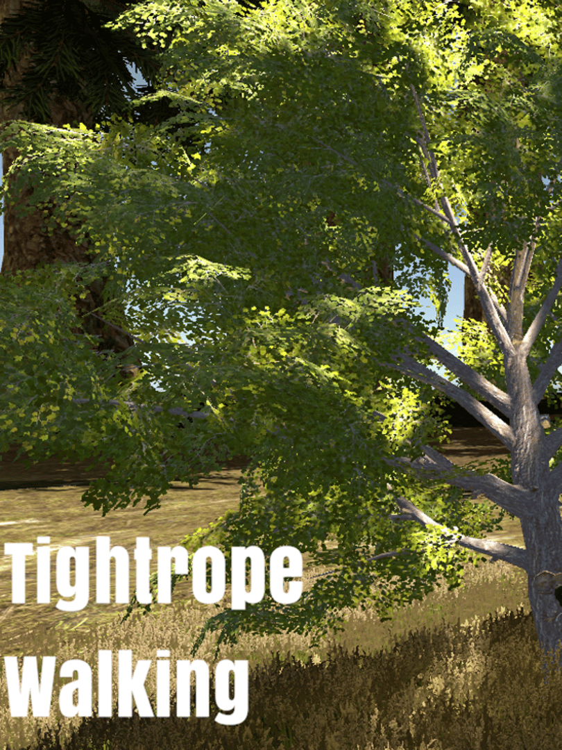Tightrope Walking Cover