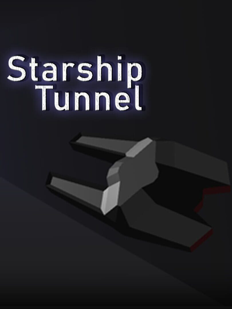 Starship Tunnel (2021)