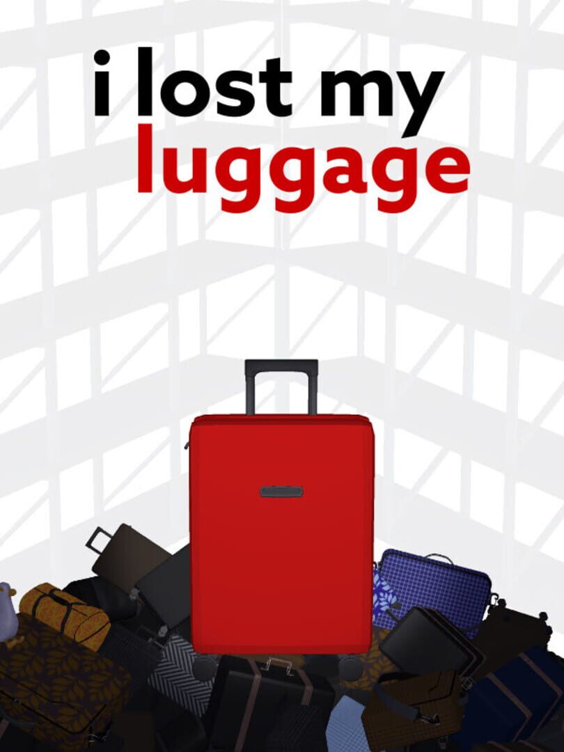 I Lost My Luggage